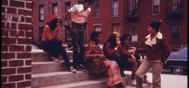 The Causes of Residential Segregation in America The Causes of Residential Segregation in American Cities