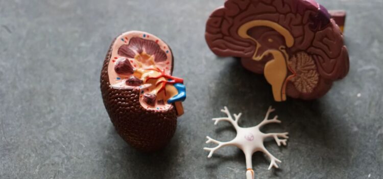 Neuro Associations: Why You Make Bad Decisions Neuro Associations: Why You Make Bad Decisions