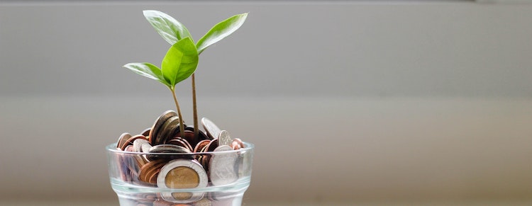 Build Savings and Let Your Money Work for You Build Savings and Let Your Money Work for You