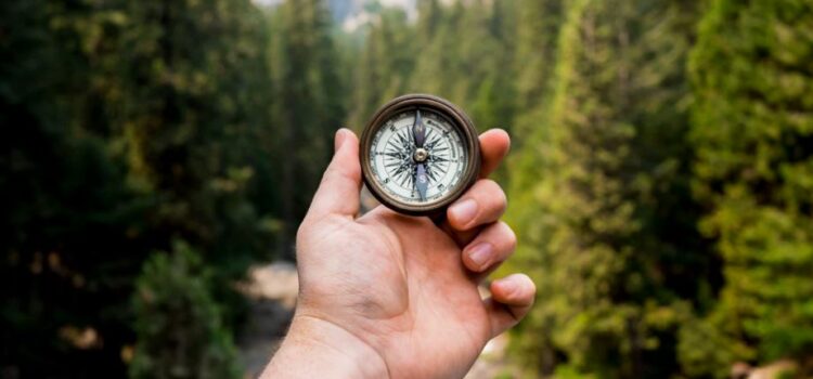 Finding Purpose in Life—Flow Isn’t Everything Finding Purpose in Life—Flow Isn’t Everything