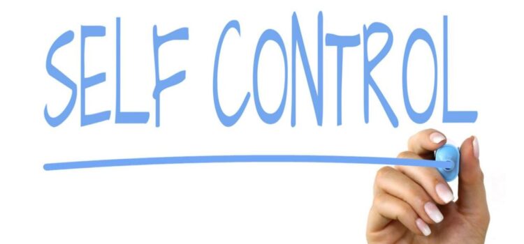 The Willpower Instinct—A Brief Overview The Willpower Instinct—A Brief Overview