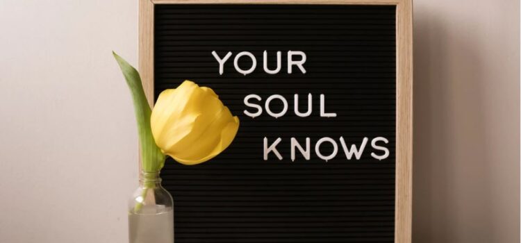 Brené Brown’s Guidepost #5: Follow Your Intuition Brené Brown’s Guidepost #5: Follow Your Intuition