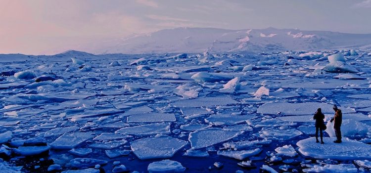 Understanding the Negative Effects of Global Warming Understanding the Negative Effects of Global Warming