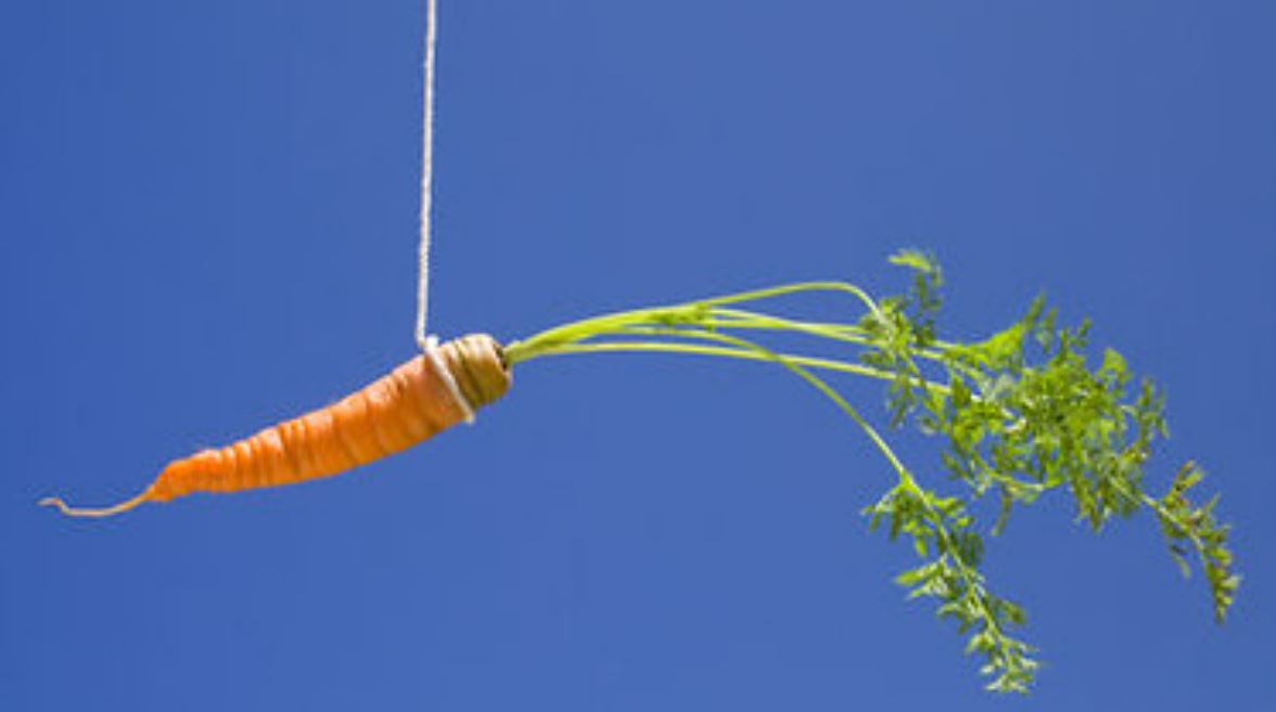 Reward Incentives 20 Reasons They Don’t Work Shortform Books