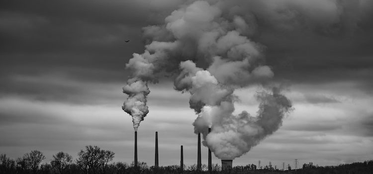Environment and Economics: A Thorny History Environment and Economics: A Thorny History
