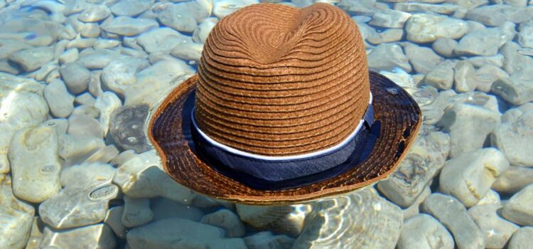 The Man Who Mistook His Wife for a Hat: Dr. P’s Case Der Mann, der seine Frau mit einem Hut verwechselte: Der Fall von Dr. P.