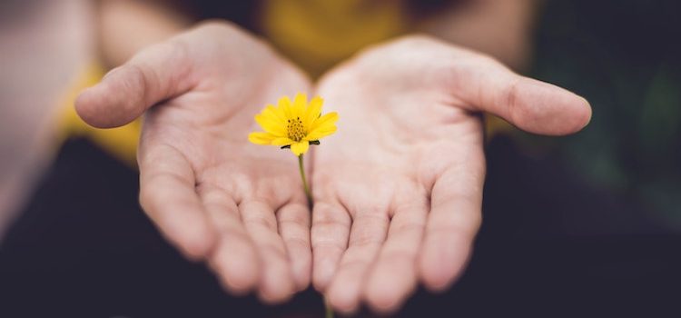 The 6 Moral Foundations: Beyond the Harm Principle The 6 Moral Foundations: Beyond the Harm Principle