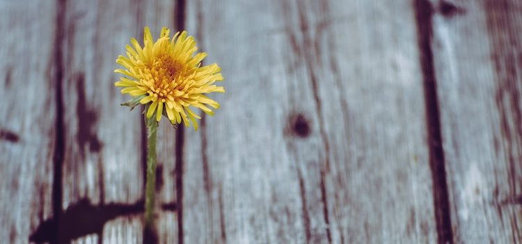 A Growth Mindset: Think and Change A Growth Mindset: Think and Change