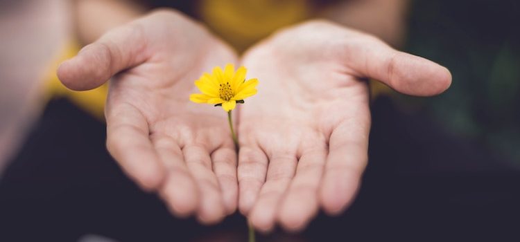 Embrace Grace: How to Be Open Without Seeking Embrace Grace: How to Be Open Without Seeking