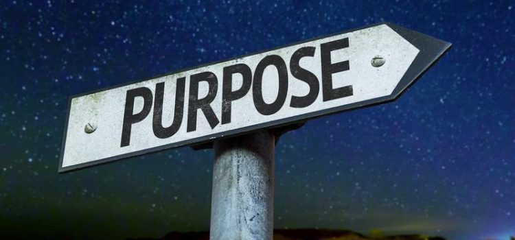 How to Find Your Major Definite Purpose in Life
