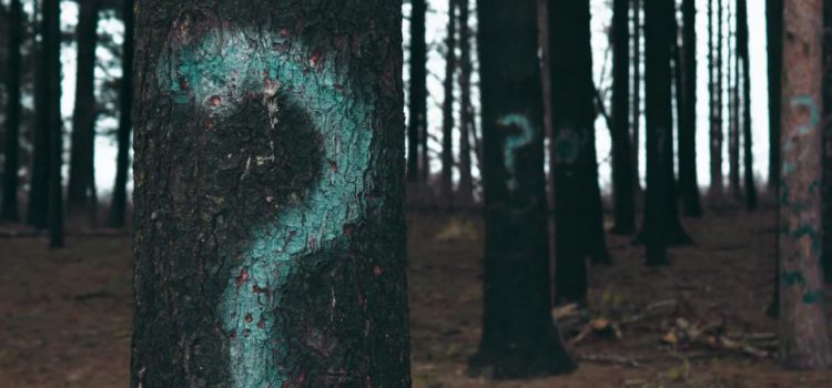 Questions in Sales: What to Ask Your Sales Prospects Questions in Sales: What to Ask Your Sales Prospects