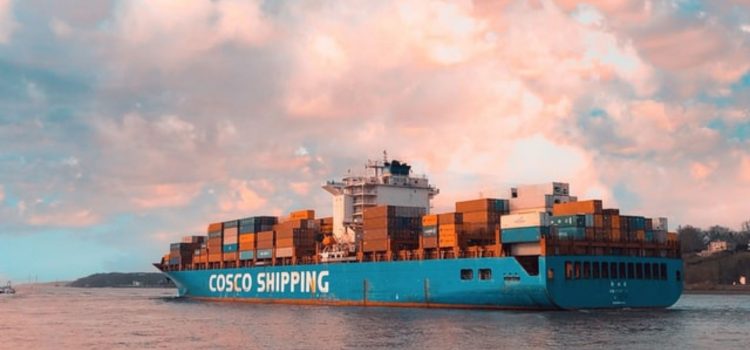 International Trade Economics: What Role Does It Play? International Trade Economics: What Role Does It Play?