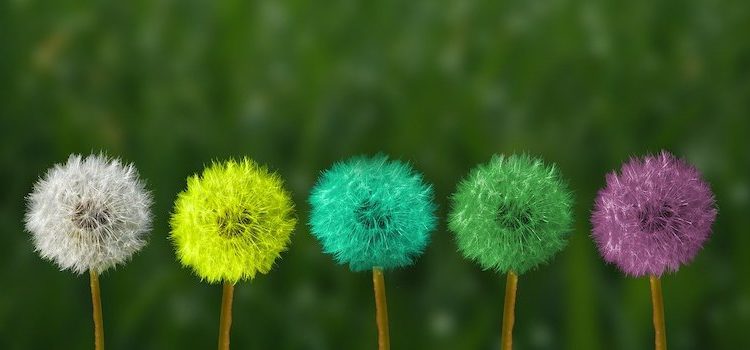 To Support Change, Modify Your Environment To Support Change, Modify Your Environment