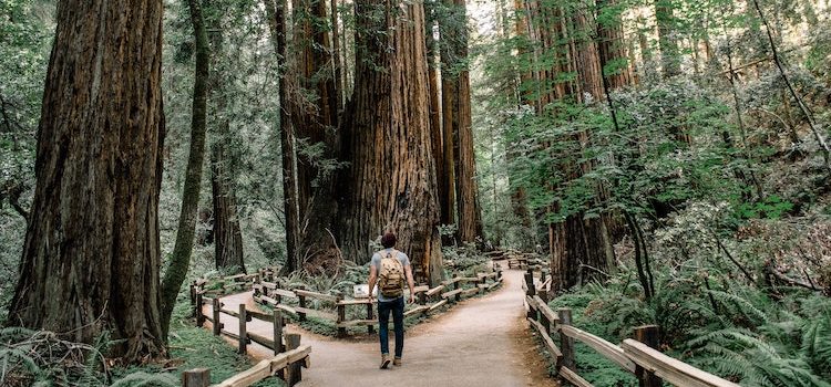 The Road Less Traveled: Scott Peck’s Classic Advice The Road Less Traveled: Scott Peck’s Classic Advice