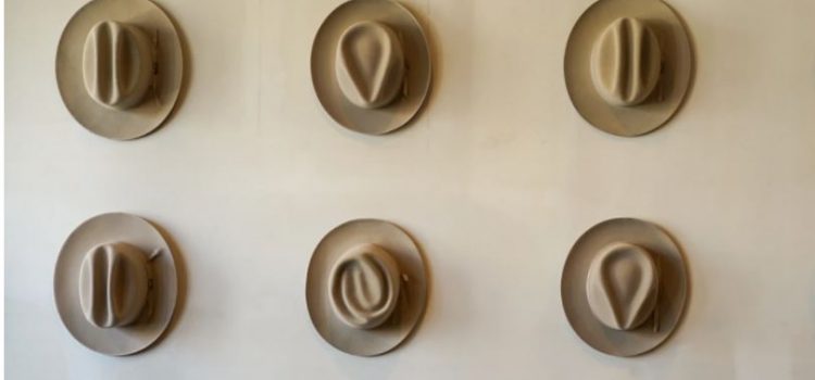 The Six Thinking Hats and How to Wear Them The Six Thinking Hats and How to Wear Them