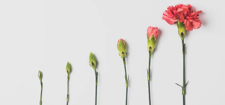 A Leader’s Guide to Managing Resistance to Change A Leader’s Guide to Managing Resistance to Change