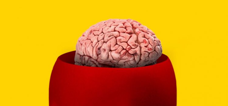 Brain Rules: 12 Book Principles to Know