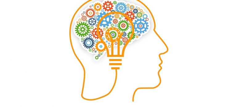 Are There Differences in Male and Female Brains? Yes How to Build a Latticework of Mental Models