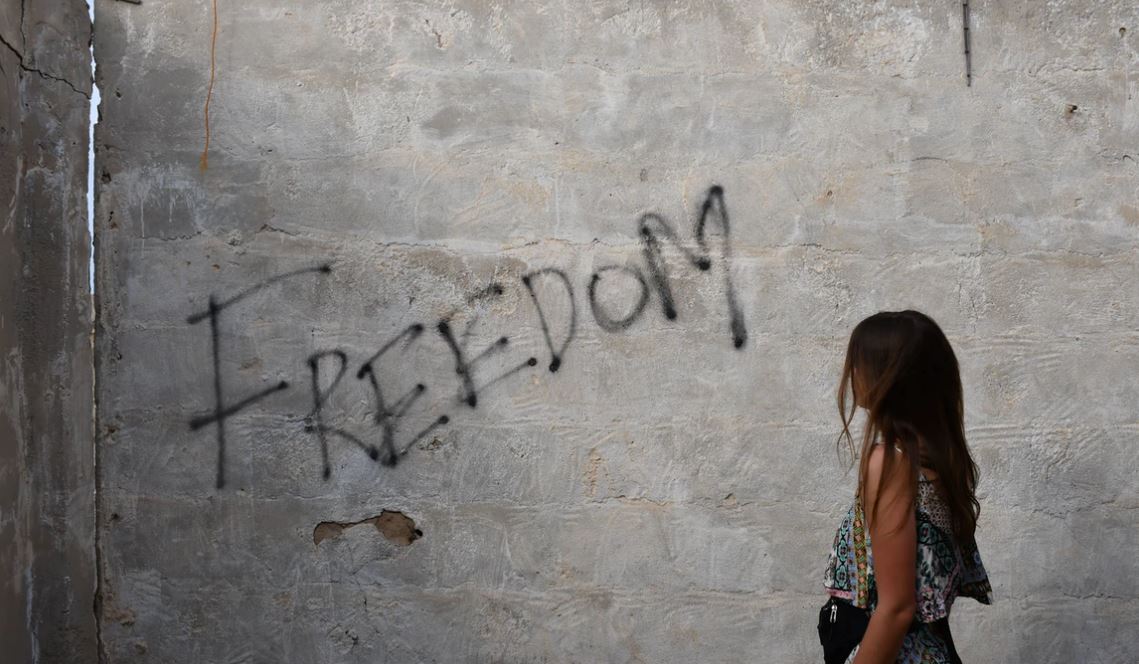 What Are the Types of Freedom? Amartya Sen Explains | Shortform Books