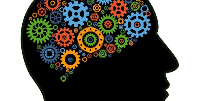 50 Types of Mental Models for Better Decision-Making 50 Types of Mental Models for Better Decision Making