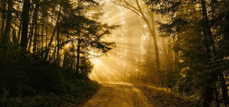 The Toltec Path to Enlightenment: A Quest for Freedom The Toltec Path to Enlightenment: A Quest for Freedom