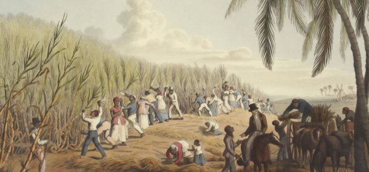 The History of the Caste System in America The History of the Caste System in America