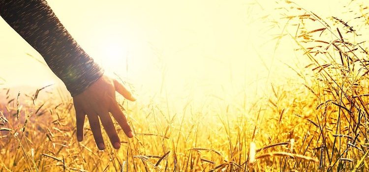 Accepting Your Emotions: Give Yourself Permission to Feel Accepting Your Emotions: Give Yourself Permission to Feel