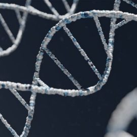 What Is the SRY Gene, and How Does It Impact Sports?