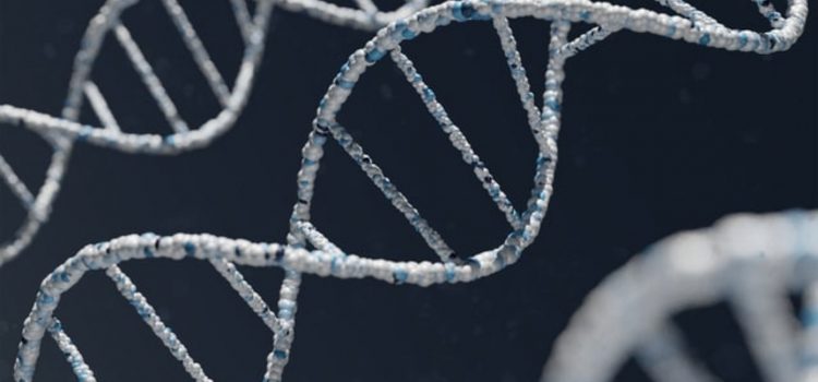 What Is the SRY Gene, and How Does It Impact Sports?