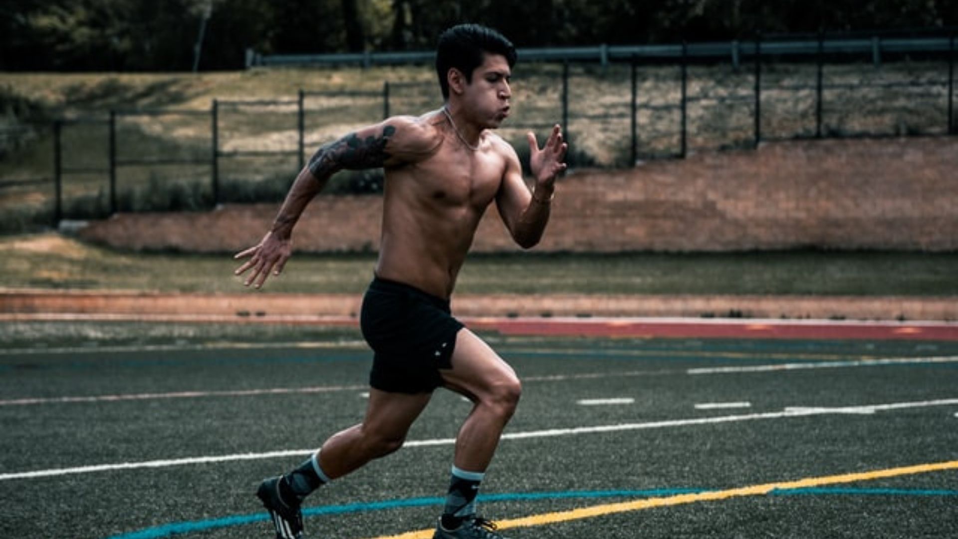 Sports How Genes Influence Athletic Ability Shortform Books