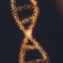 Siddhartha Mukherjee: How Was DNA Discovered?