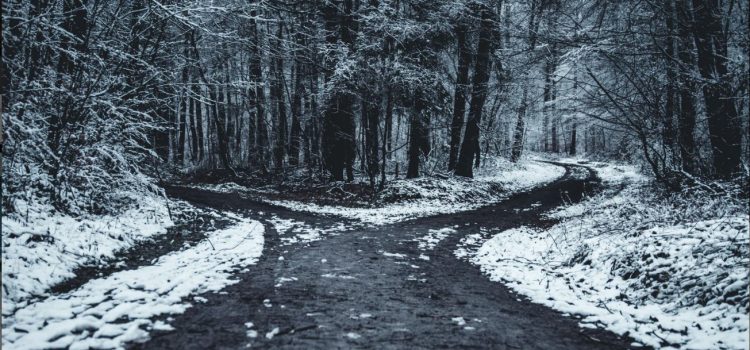 The 3 Major Personal Life Choices We All Must Make The 3 Major Personal Life Choices We All Must Make