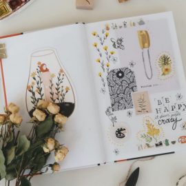 Bullet Journal Collection Ideas and Examples