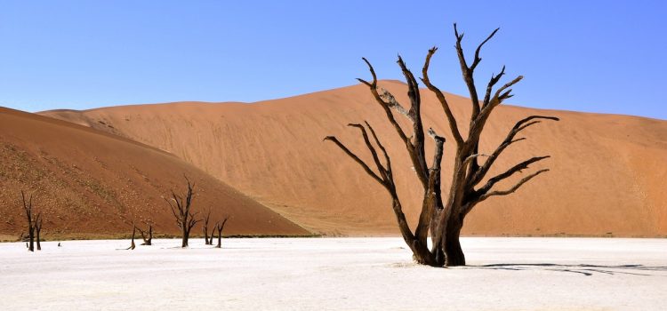 Wilderness Mentalities: 10 Common Negative Mindsets Wilderness Mentalities: 10 Common Negative Mindsets