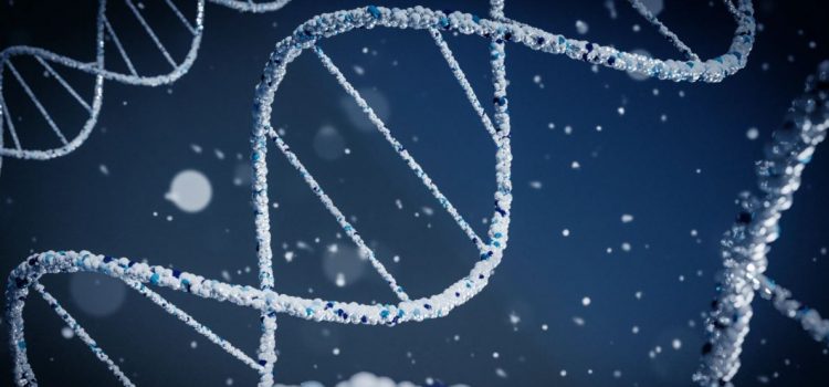 Stephen Hawking: Evolution Explained Stephen Hawking: Evolution Explained