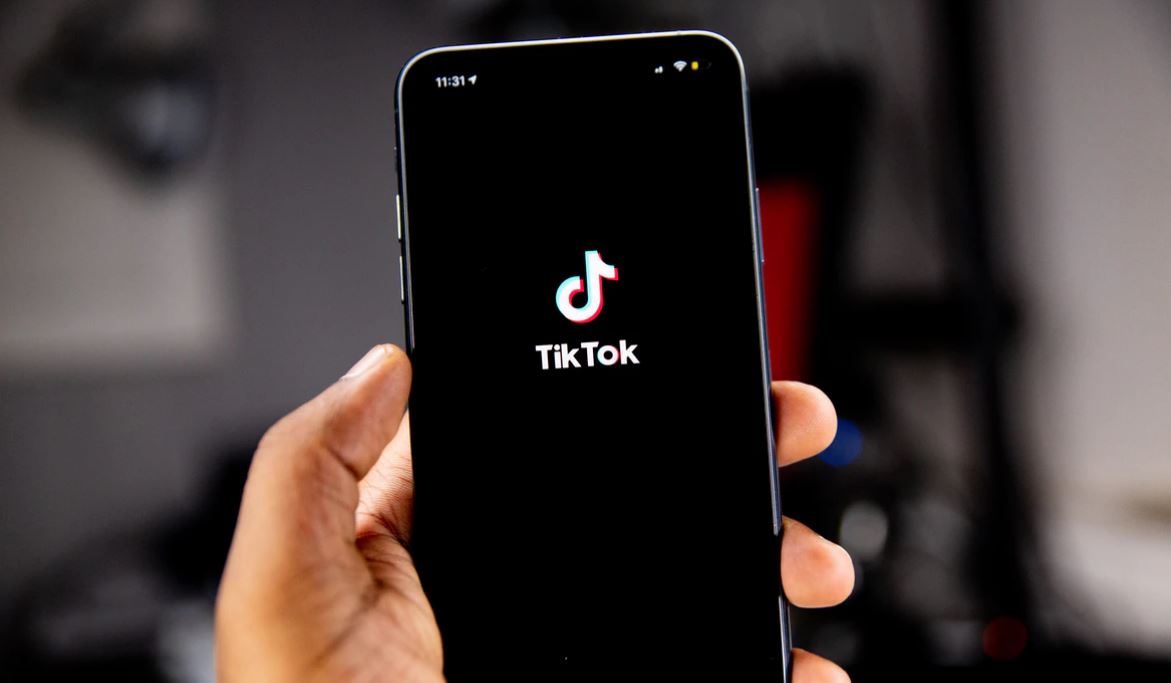 Why TikTok Is Bad for Mental Health, Society, and Teens Shortform Books