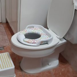 How and When to Start Toilet Training Your Toddler