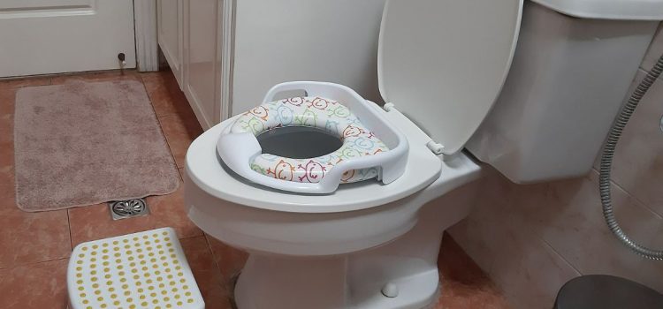 How and When to Start Toilet Training Your Toddler