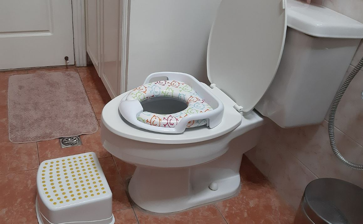 How and When to Start Toilet Training Your Toddler Shortform Books