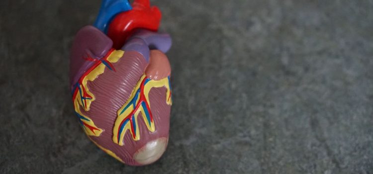 The Link Between Blood Sugar and Heart Disease