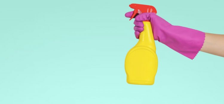Working as a Housekeeper: Stephanie Land’s Struggles Working as a Housekeeper: Stephanie Land’s Struggles