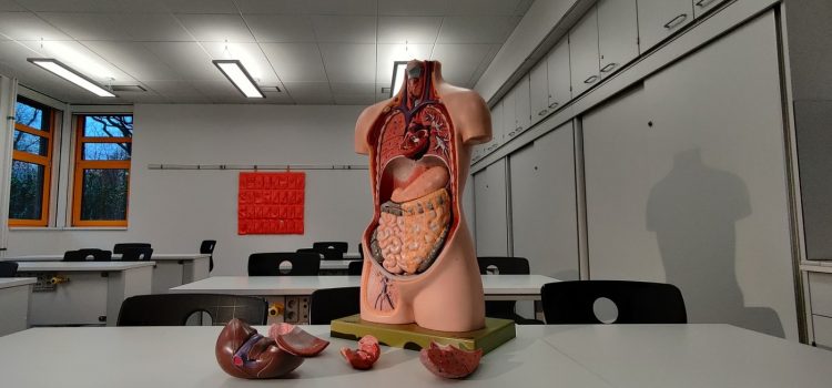 Gut by Giulia Enders: Book Overview Gut by Giulia Enders: Book Overview