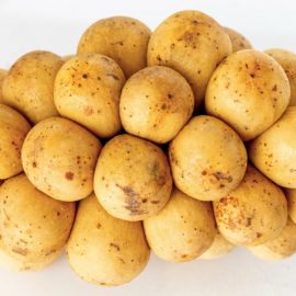 What Could Have Prevented the Irish Potato Famine?