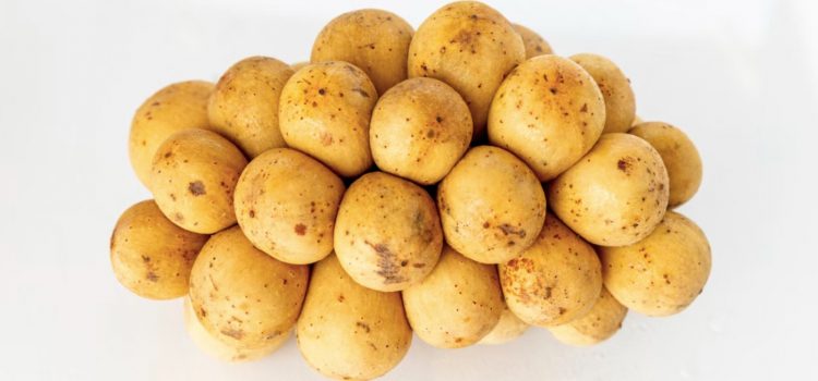 What Could Have Prevented the Irish Potato Famine? What Could Have Prevented the Irish Potato Famine?