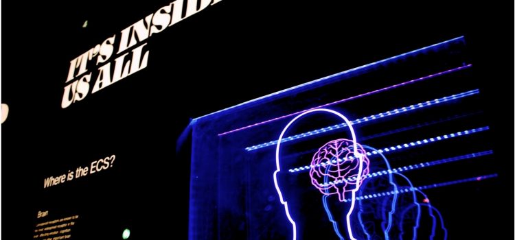 Simon Sinek: The Limbic Brain Is Your Strength—Use It! Simon Sinek: The Limbic Brain Is Your Strength—Use It!