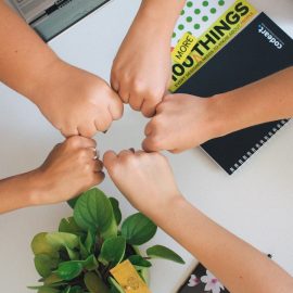How to Build a Cohesive Team: Stage 4 Culture