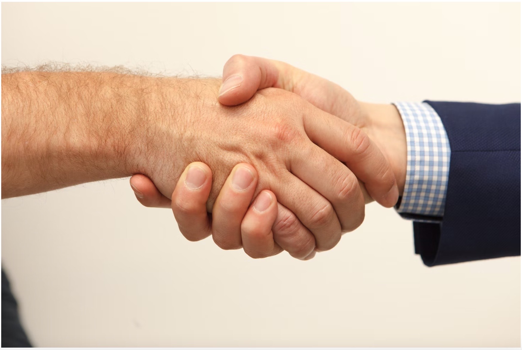Handshake Deals Are They Realistic or Risky? Shortform Books