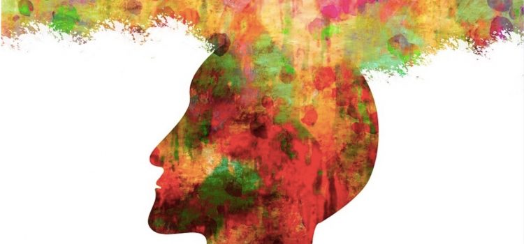 What Does the Limbic System Do? Neuroscientist Explains What Does the Limbic System Do? Neuroscientist Explains