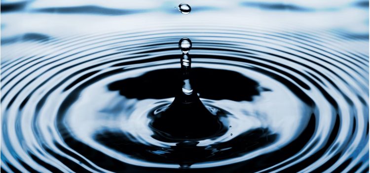 Covey’s Waves of Trust: 5 Steps to Build Trust Covey’s Waves of Trust: 5 Steps to Build Trust