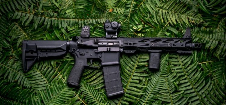 The 4 Challenges to Implementing an AR-15 Ban